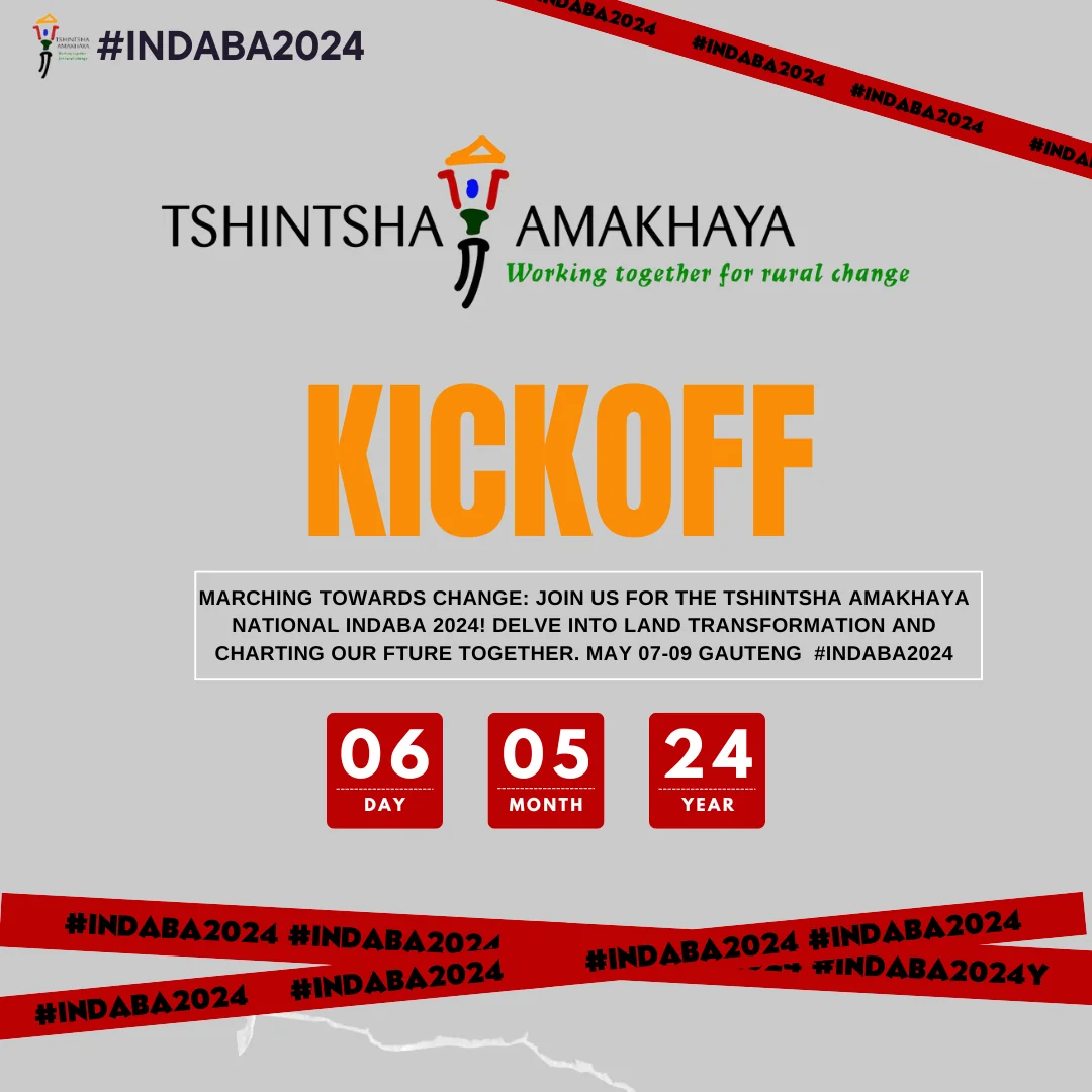 Indaba visual design